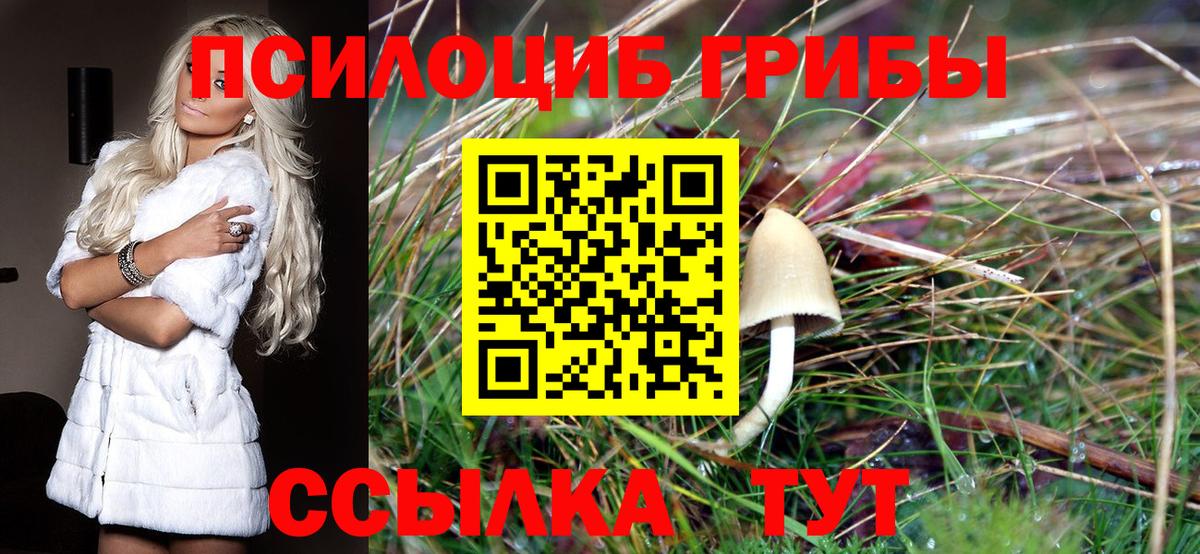 Псилоцибиновые грибы прущие грибы Звенигород